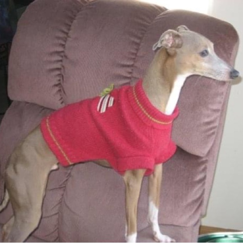 πHolidayπ
π» Dog Sweaters - Picture 3 of 6